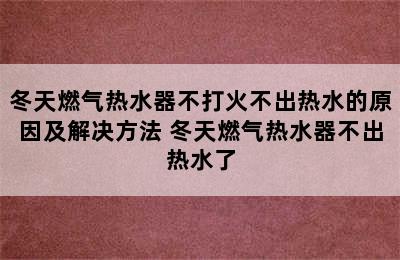 冬天燃气热水器不打火不出热水的原因及解决方法 冬天燃气热水器不出热水了